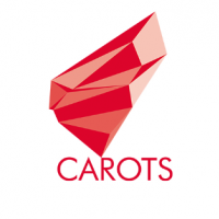 Участие в web-конференции проекта CAROTS