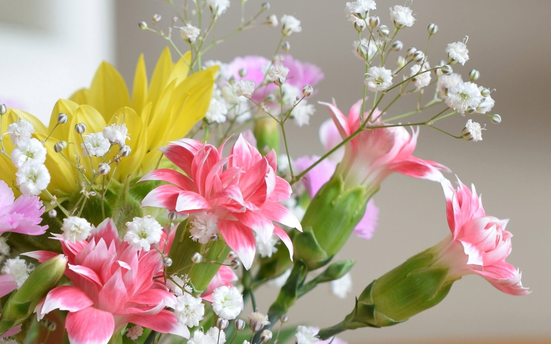 Поздравляем Веронику Георгиевну Шубаеву с&nbsp;днем рождения!