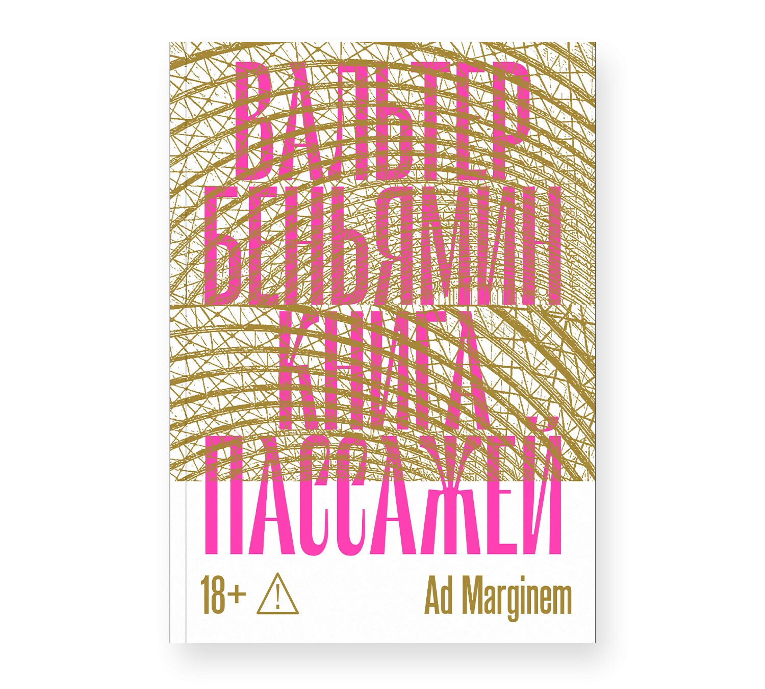 Профессор СПбГЭУ –&nbsp;переводчик «Книги Пассажей» В.&nbsp;Беньямина