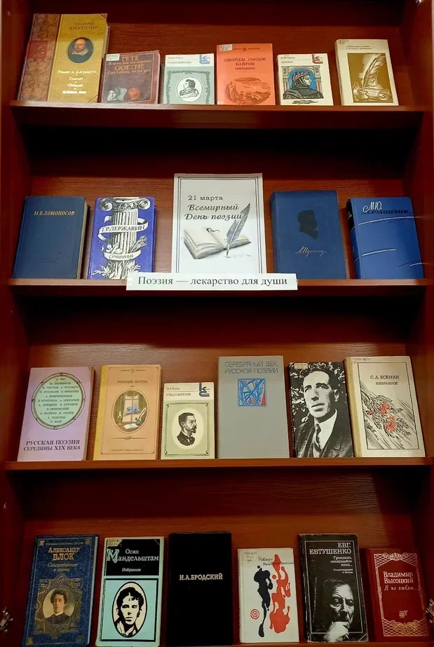 Книжная выставка «Поэзия — лекарство для души» в&nbsp;библиотеке колледжа